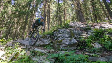 Rider on a mountain bike riding a Quesnel trail.