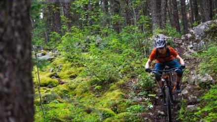 Mountain biking trails