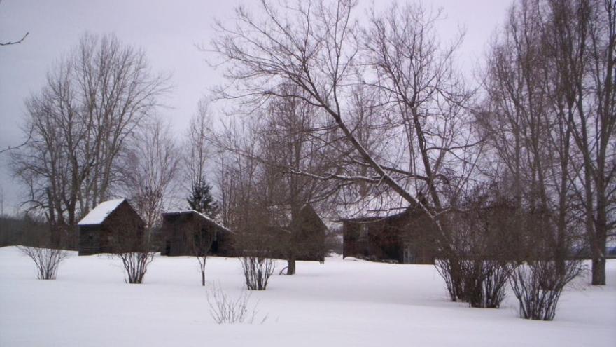 Johnston Farm - Western View