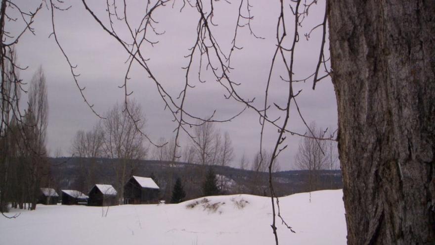Johnston Farm - Southwest View