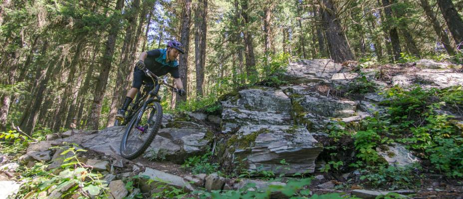 Rider on a mountain bike riding a Quesnel trail.